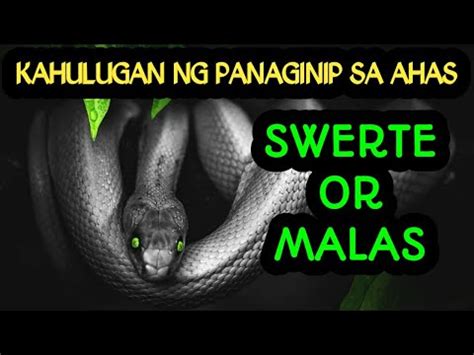 Interpretasyon ng nakakakita ng ahas na pinatay sa panaginip ni .